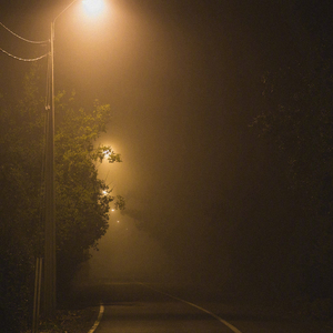 日本高清三级片直播网址
