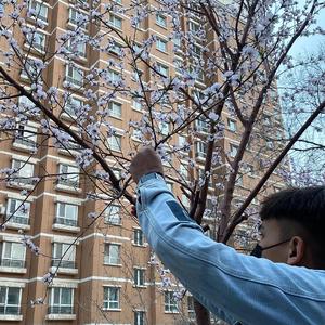 日本高清三级片直播网址
